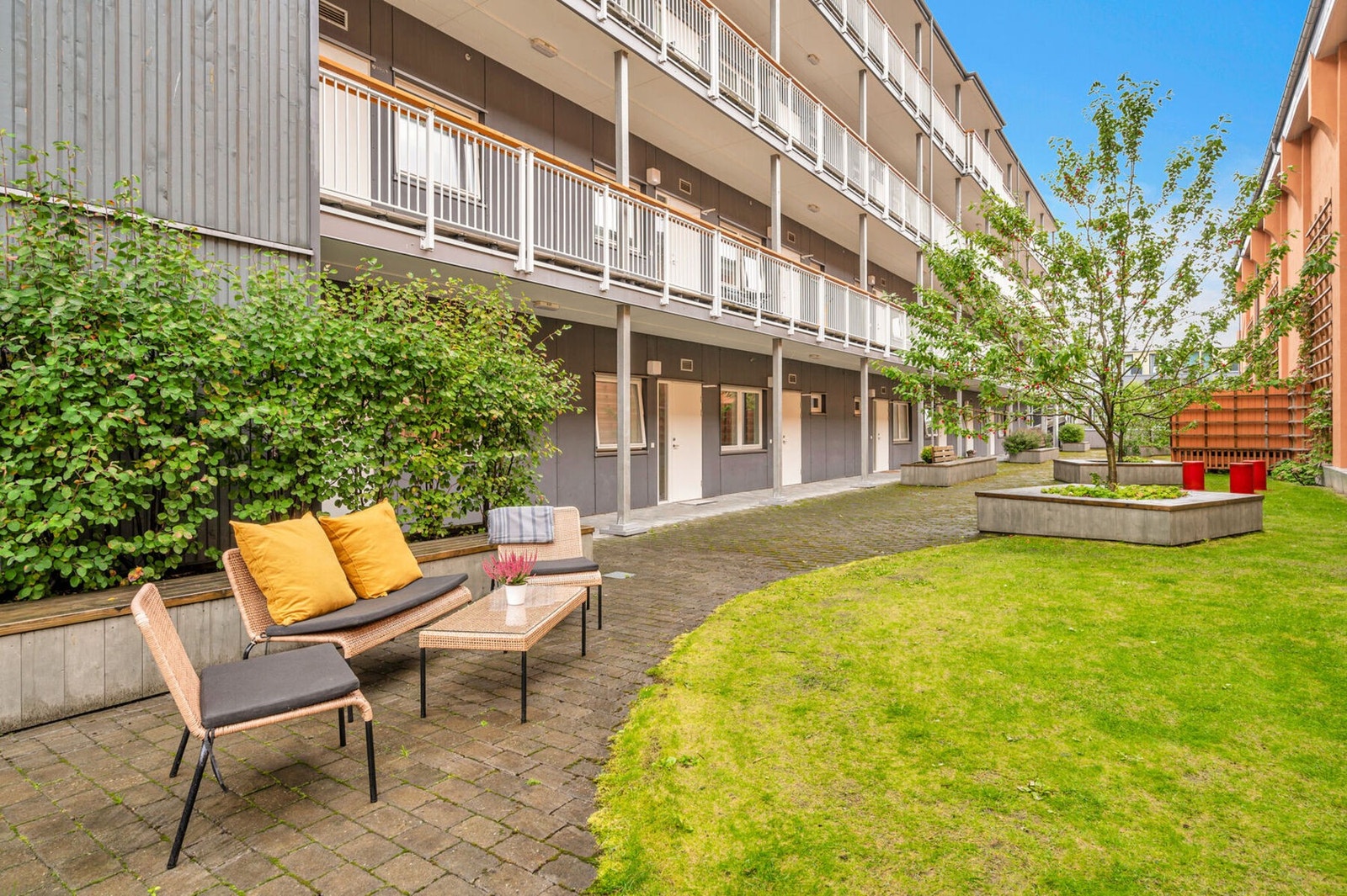 Sameiets felles bakgård med trær, busker og gressplen. Galleribilde