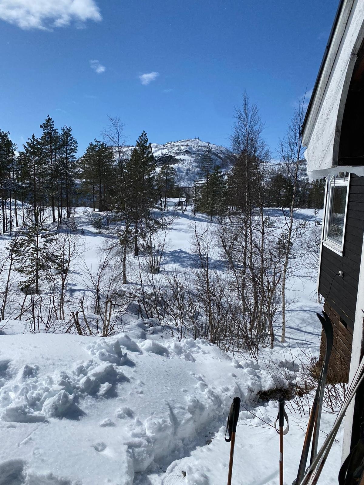 Bilder fra sesongen 2026, tatt av selger. Galleribilde