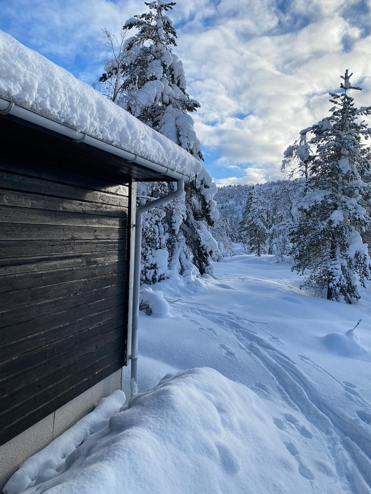 Bilder fra sesongen 2026, tatt av selger. Galleribilde