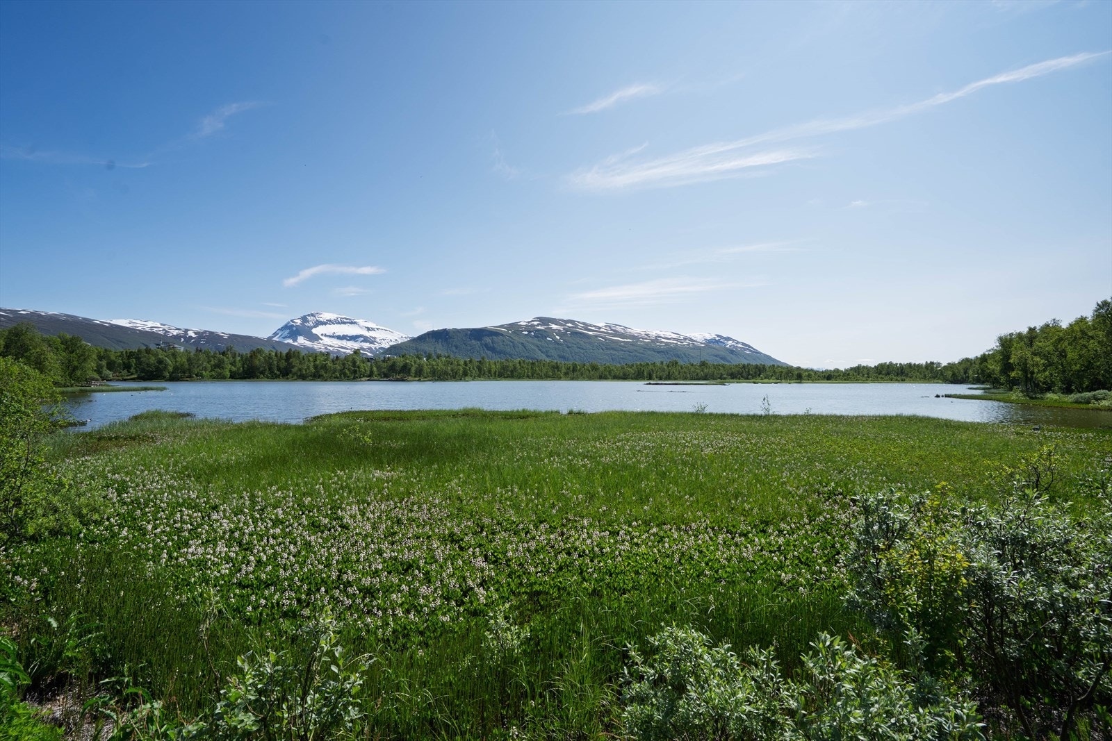 Prestvannet Galleribilde