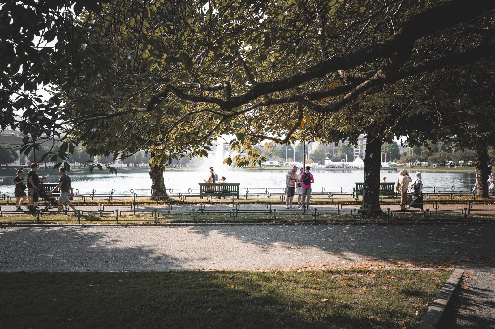 Eller kanskje en runde rundt lille lungegårdsvann? Galleribilde