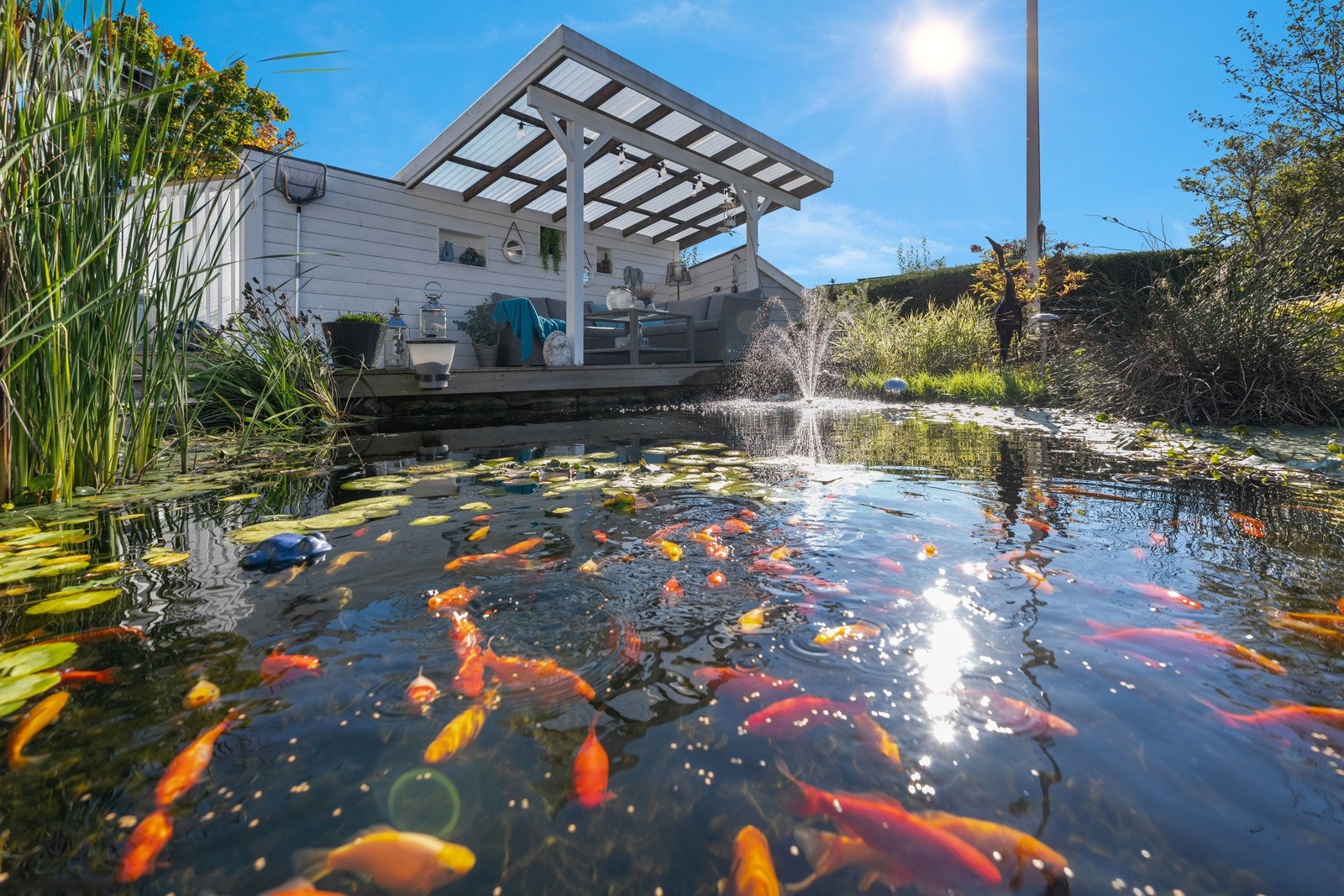 Fiskedam Galleribilde