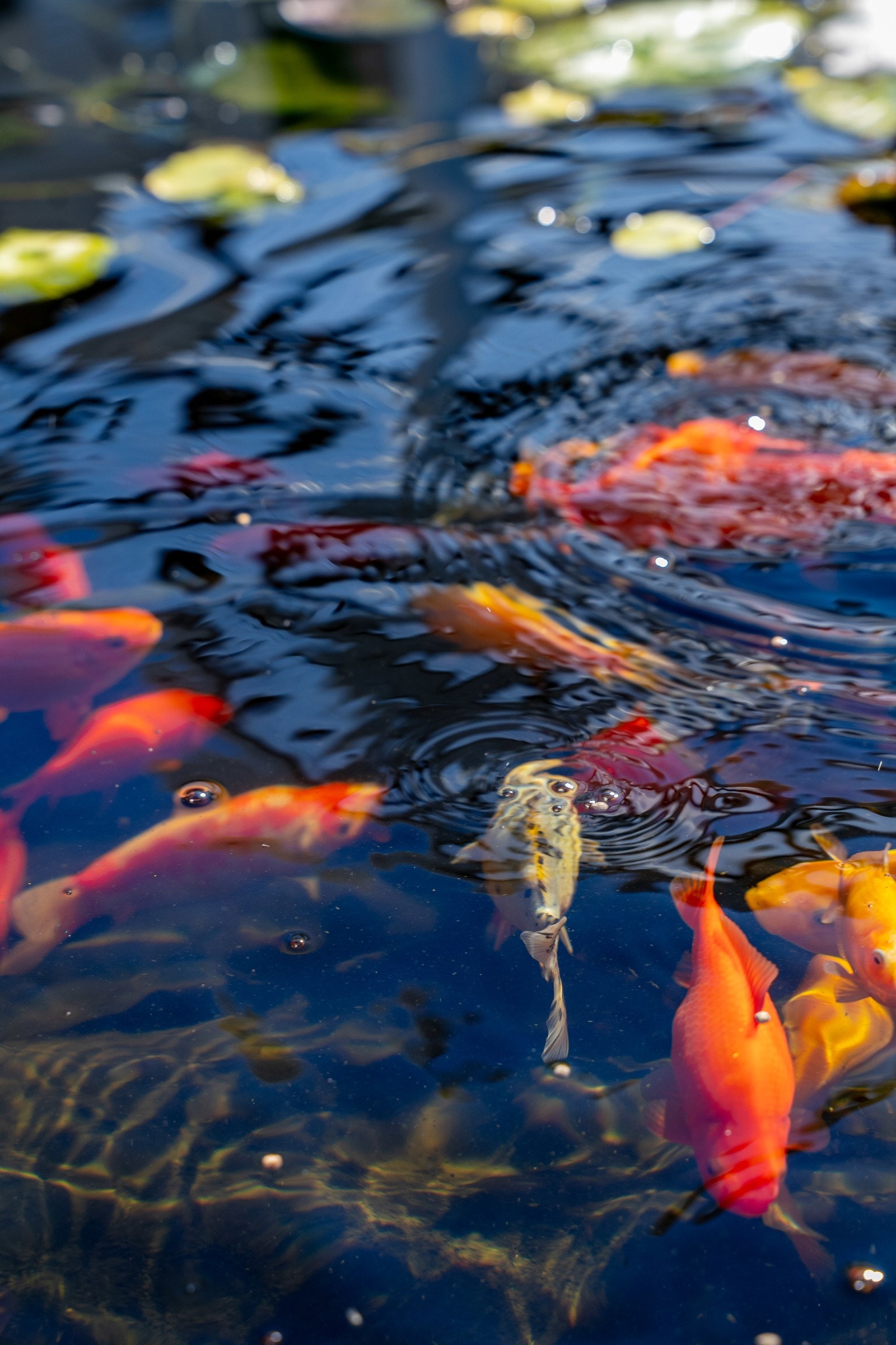 Stemning Galleribilde