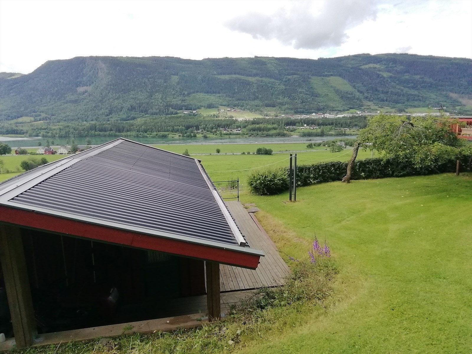 Selgers private sommerbilder Galleribilde