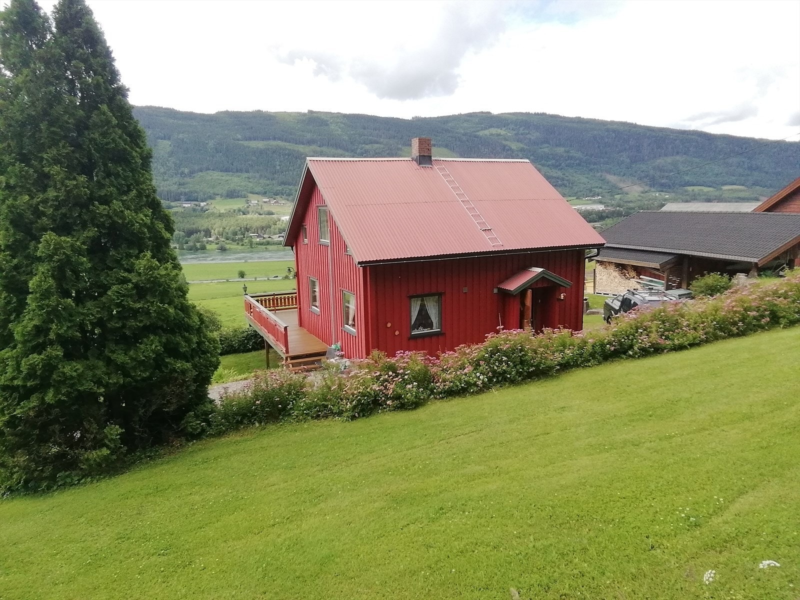 Selgers private sommerbilder Galleribilde