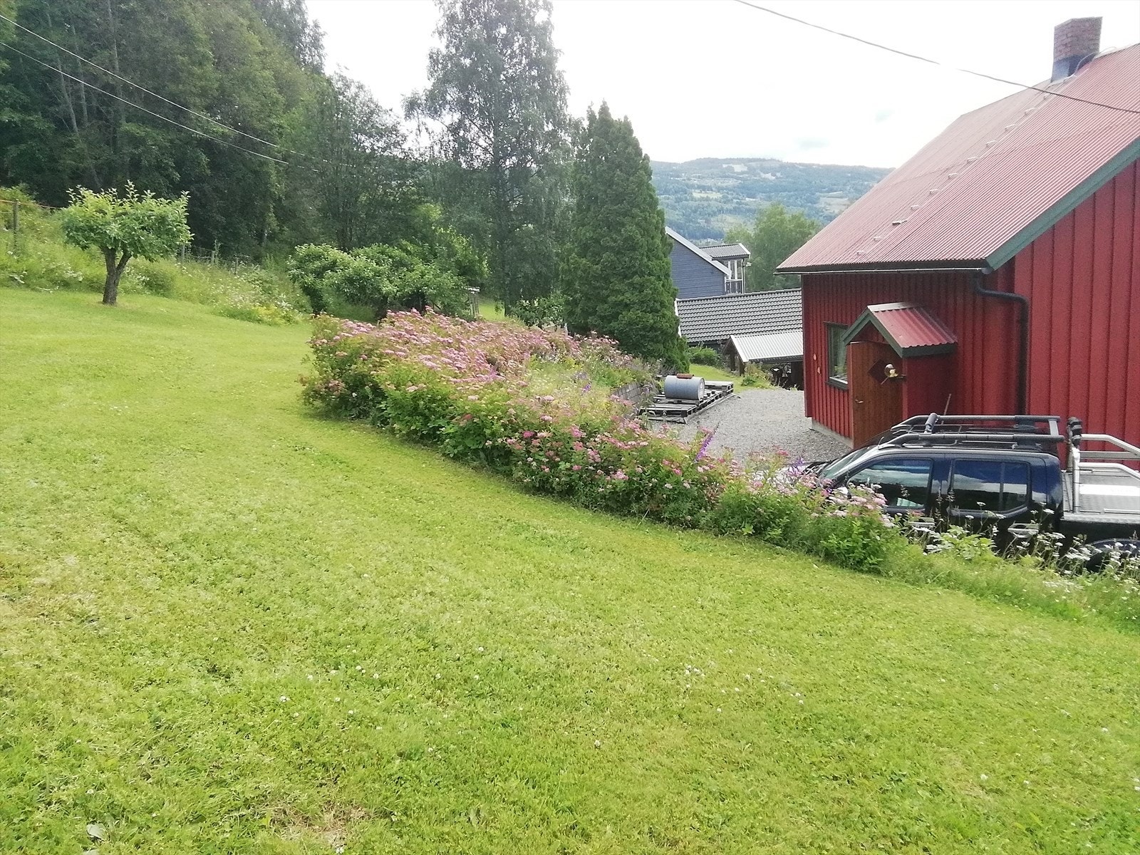 Selgers private sommerbilder Galleribilde