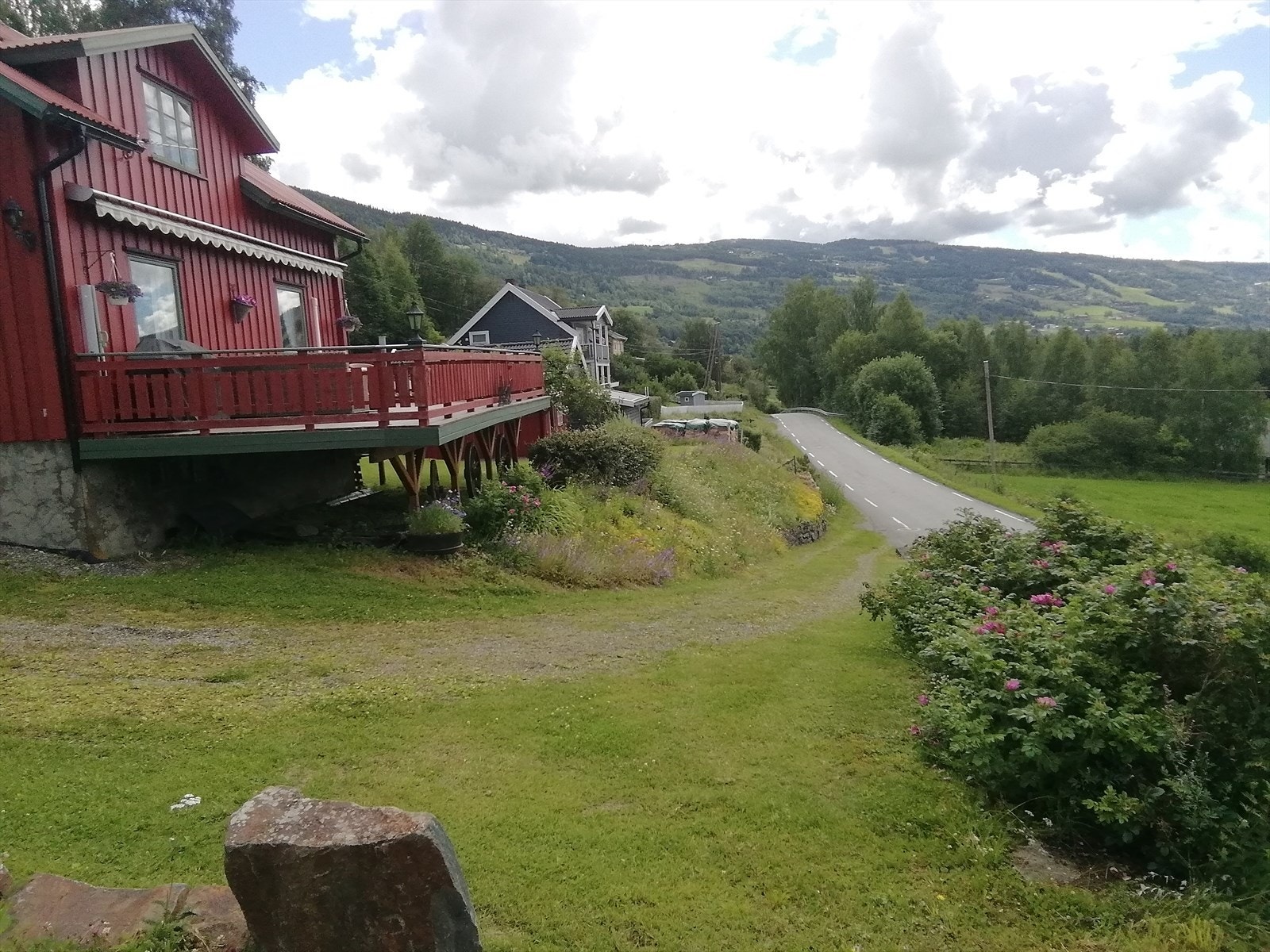 Selgers private sommerbilder Galleribilde