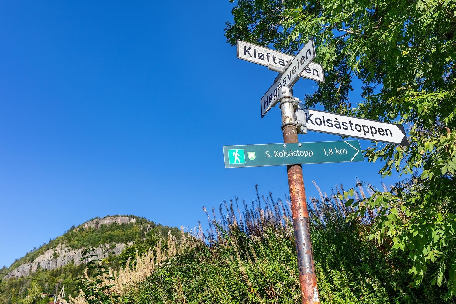 Nærmiljø Galleribilde