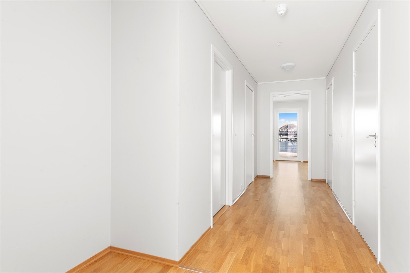 Entre/gang Galleribilde