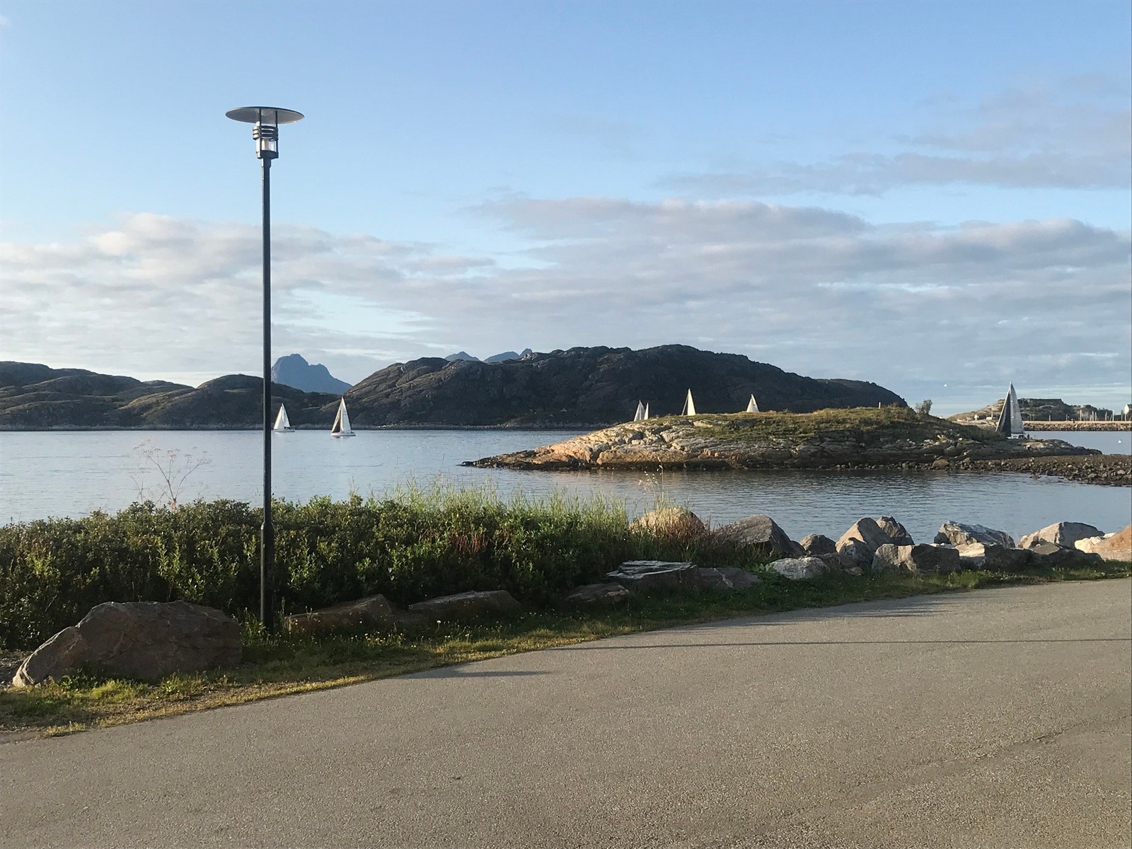 Tirsdagsseiling ved Breivika Galleribilde