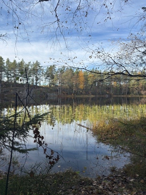 Kun 500 meter unna ligger Svarstadtjernet, med gode bade- og turmuligheter. (Privat bilde). Galleribilde