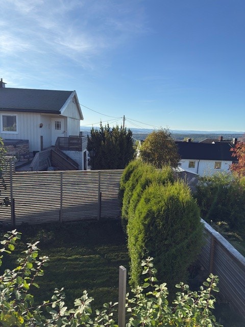 Privat bilde. Galleribilde