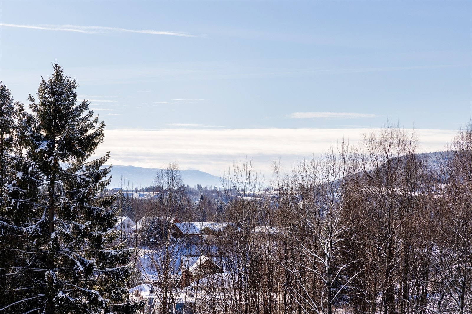 Eiendommen har en attraktiv beliggenhet med umiddelbar nærhet til skog og mark. Galleribilde