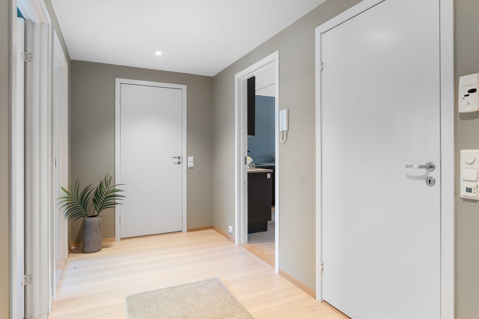 Entré/gang. Galleribilde