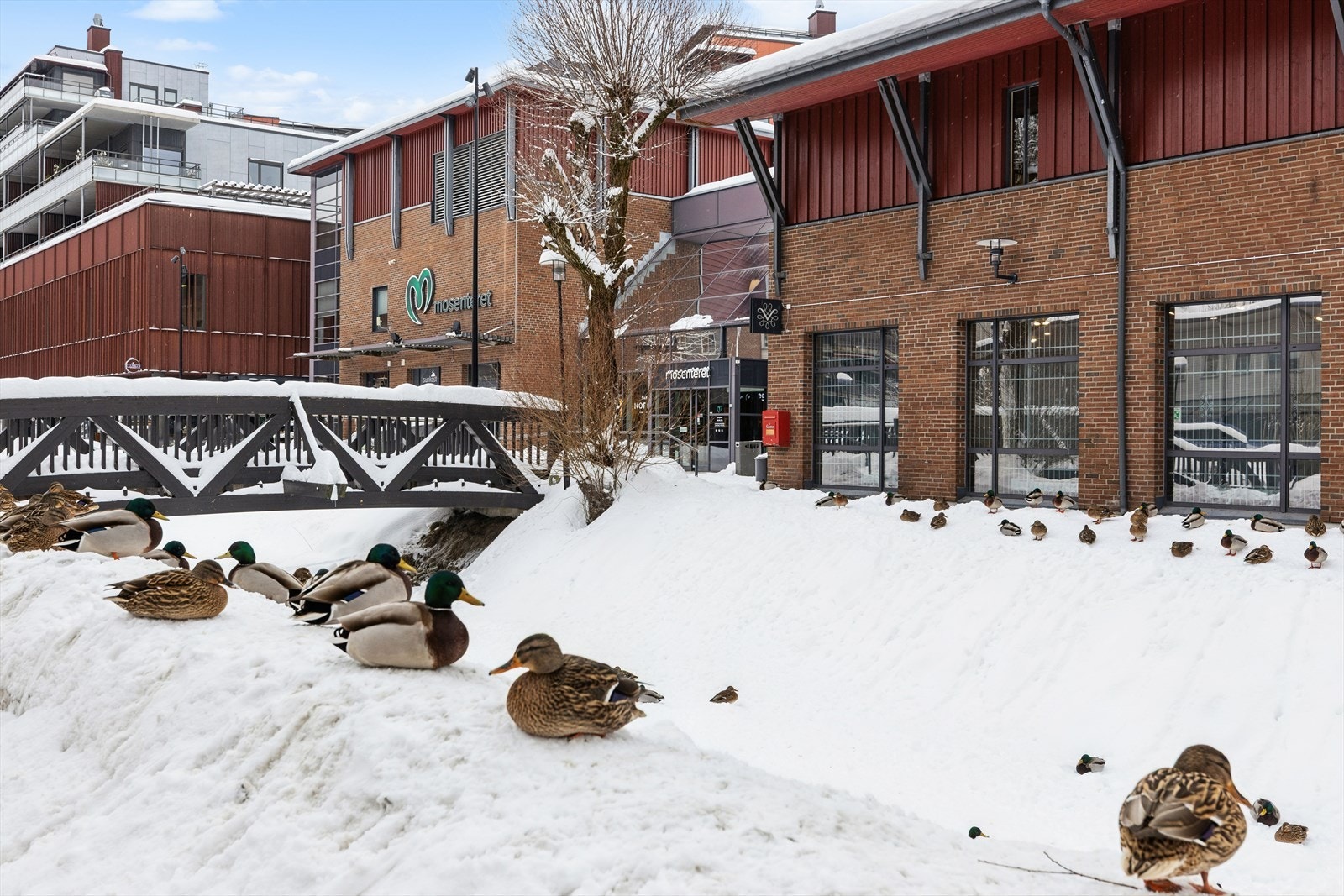 Hverdagsinnkjøpene gjøres enkelt med både Rema 1000 og Coop Mega i umiddelbar nærhet. Disse ligger et stenkast unna. Galleribilde
