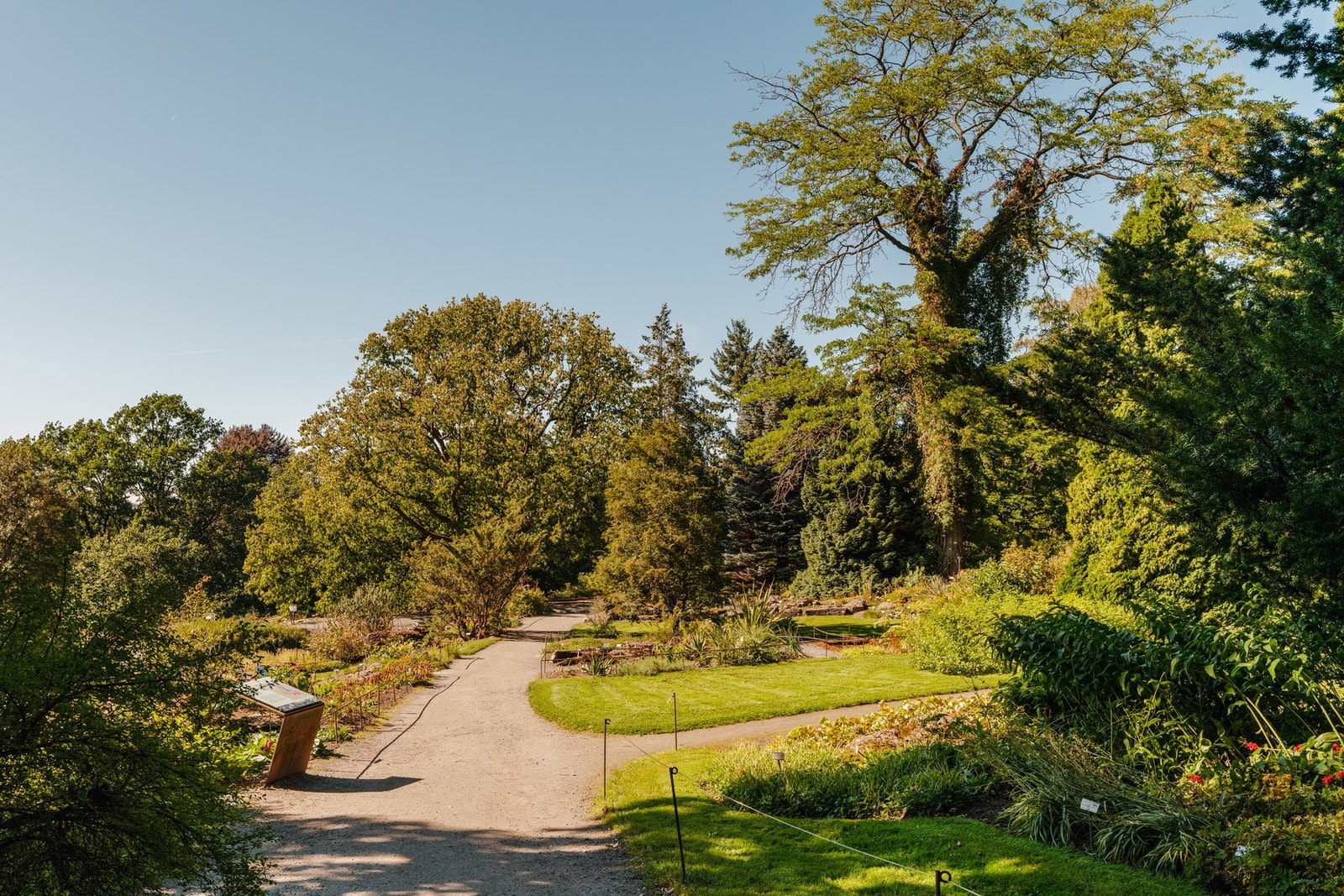 Kort vei til frodige Botaniske hage, Grünerløkka og Sentrum Galleribilde