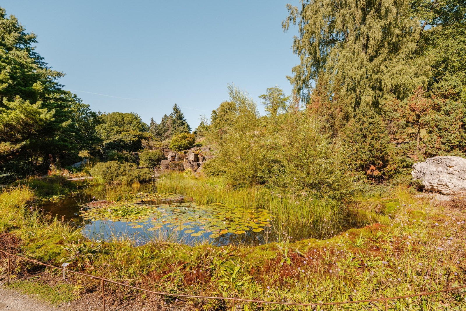 Botanisk hage er perfekt for tur- og rekreasjonsmuligheter Galleribilde