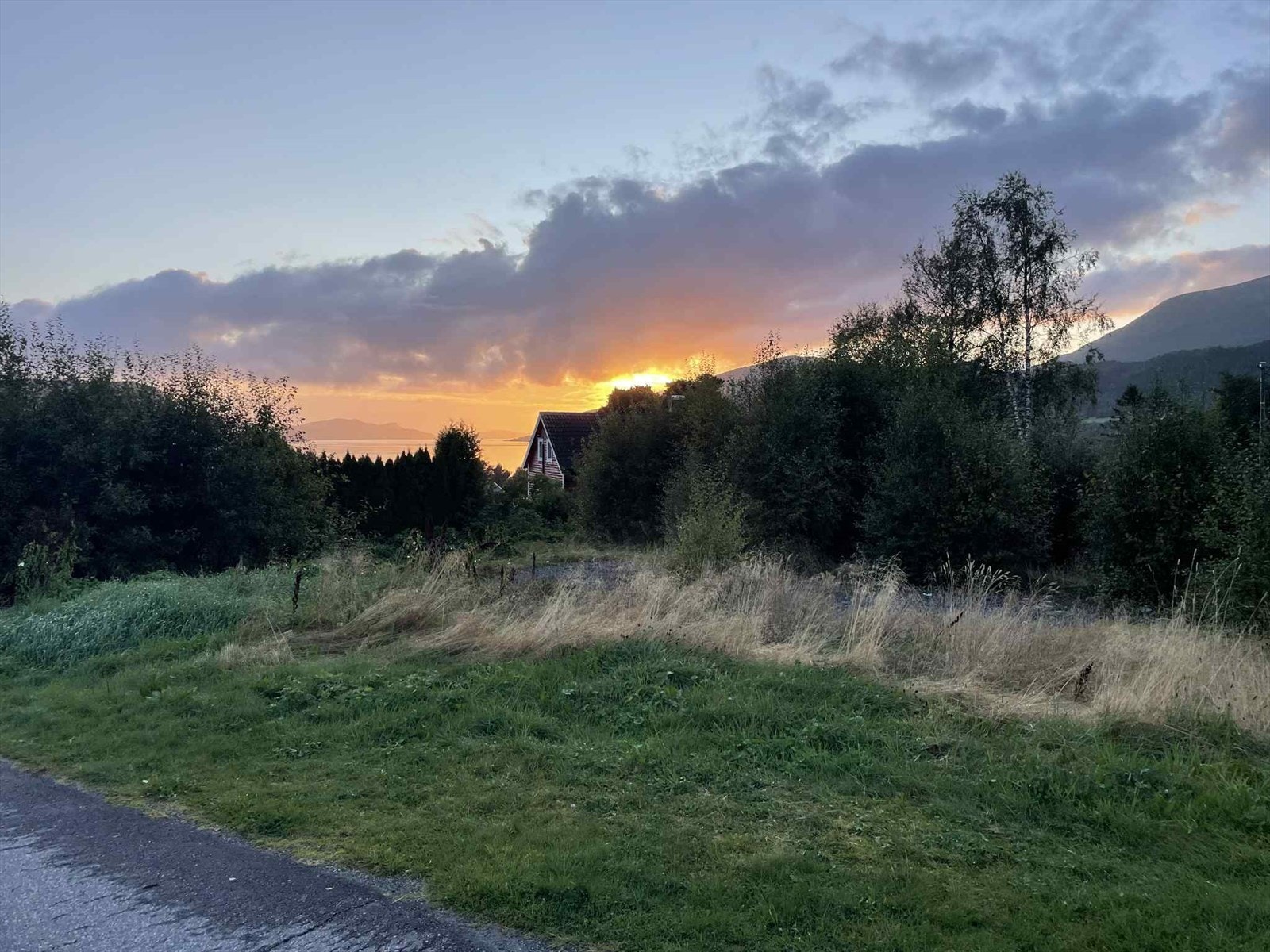 Selgers bilde - tomt. Galleribilde