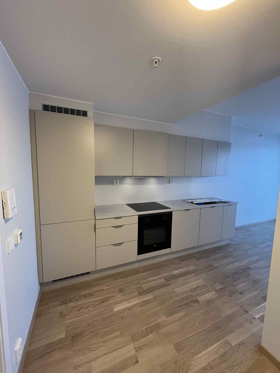 Det første som møter deg fra gangen er kjøkkenet Galleribilde