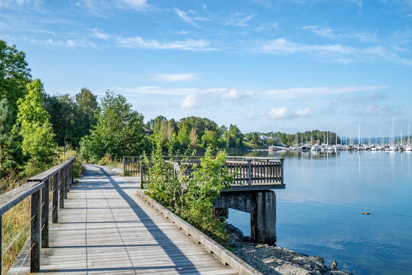 Flere hyggelige møteplasser langs kyststien. Galleribilde