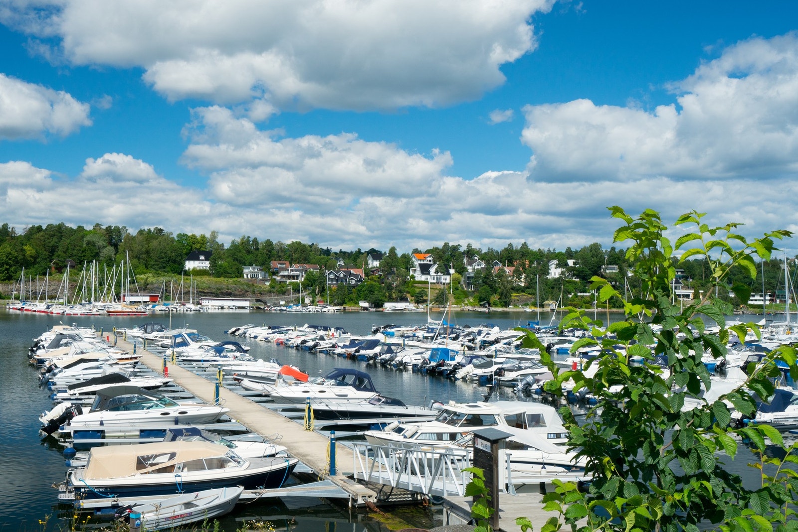 Oksenøya Marina få hundremetere fra boligen. Galleribilde
