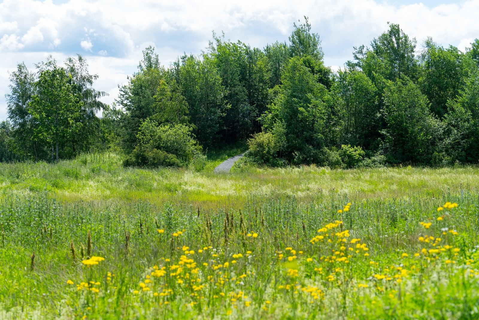 Like ved boligen finner du godt bevarte friområder som leder deg ned til stranden eller videre inn på vakre turstier langs Fornebu. Galleribilde