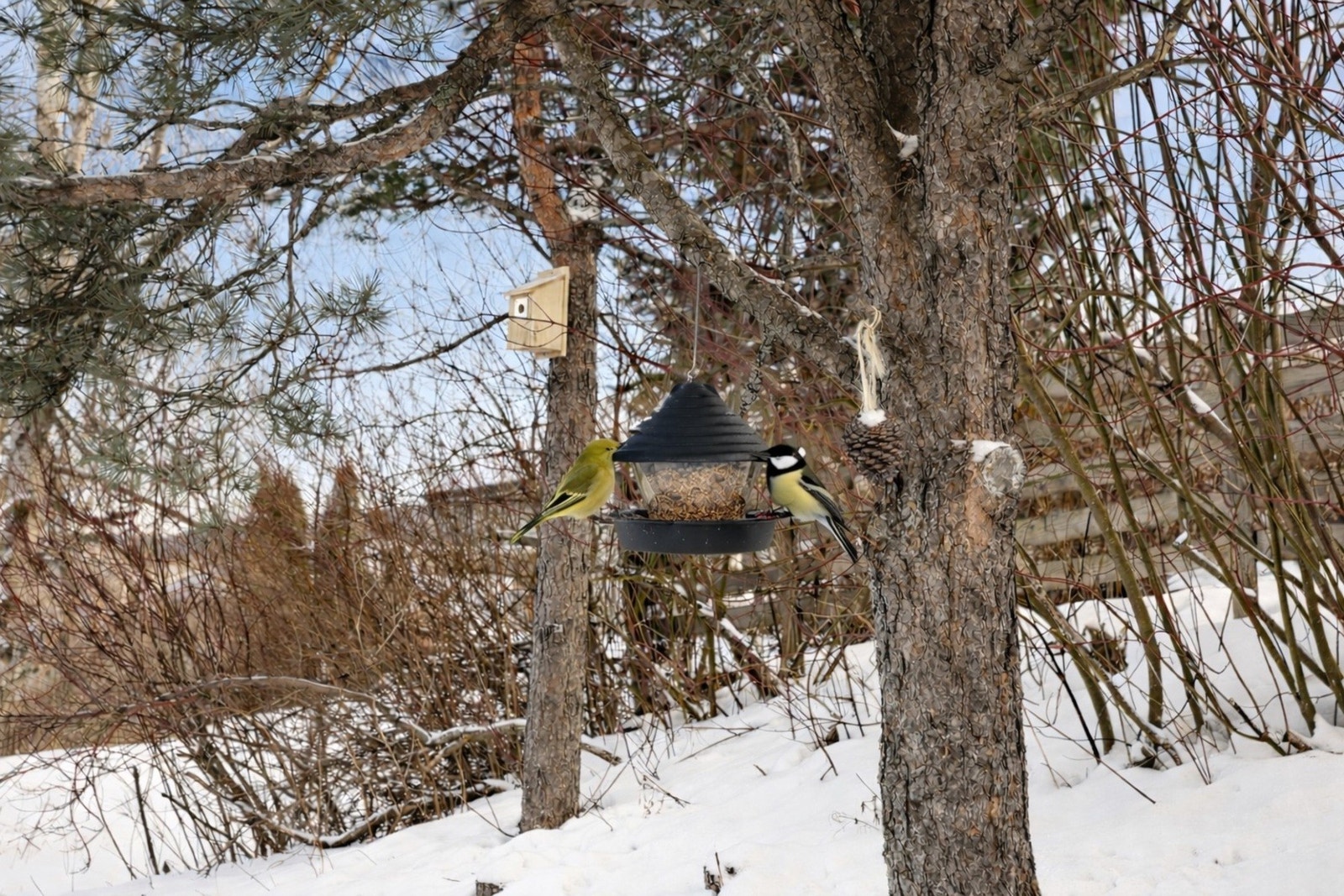 Fra boligen er det kort vei til trikkestopp og dagligvare på Rognheim, trygg skolevei til Byåsen barneskole, nærhet til Bymarka og gang- og sykkelvei til sentrum. Galleribilde