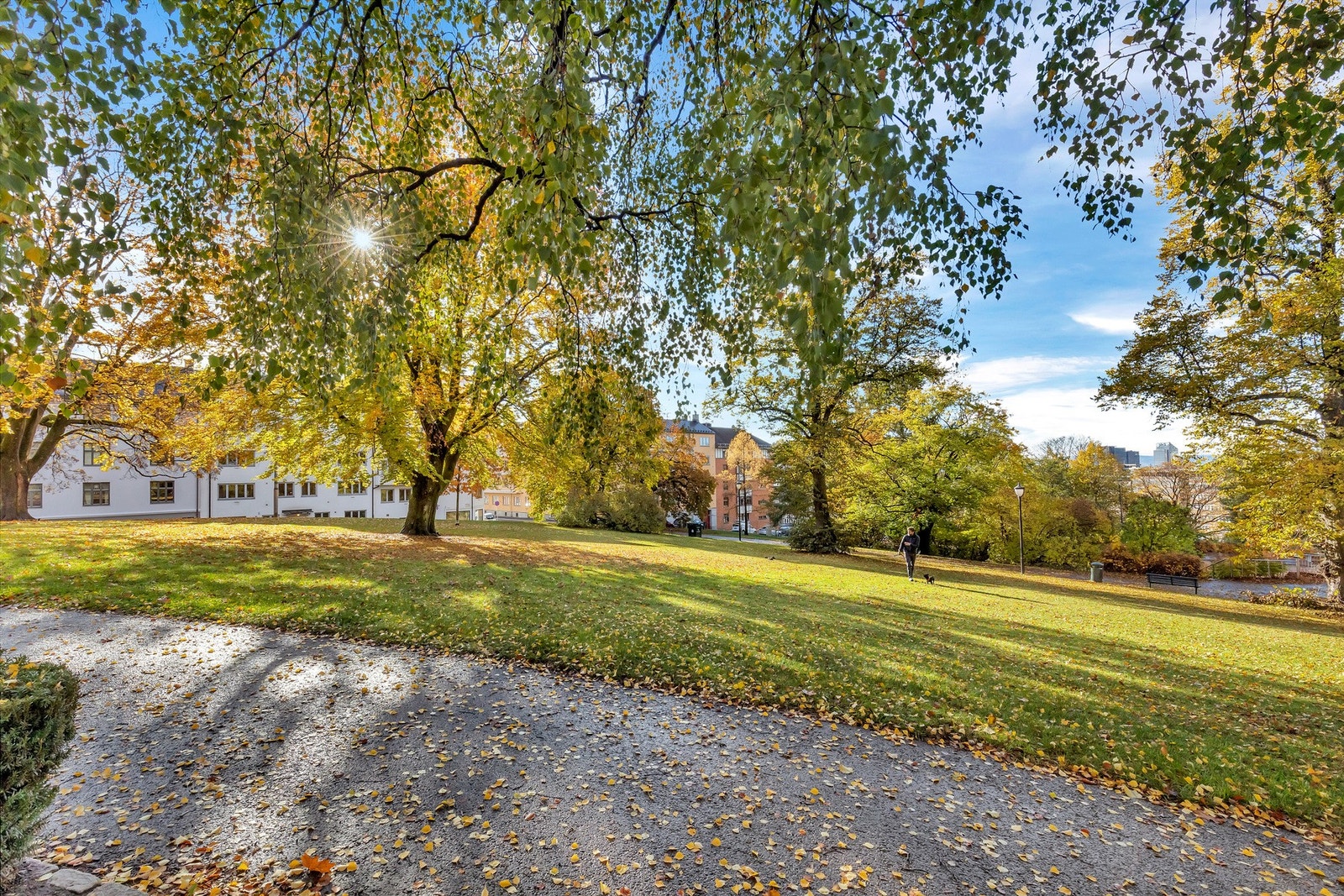 Leiligheten ligger på idylliske Kampen, kjent for sin særpregede trehusbebyggelse, klassiske bygårder og grønne omgivelser. Galleribilde