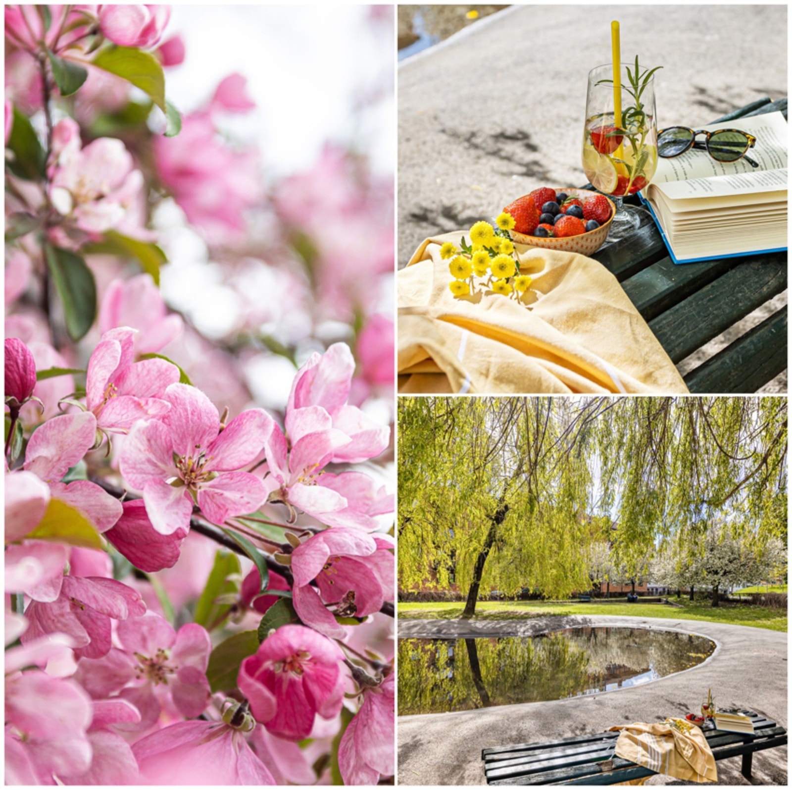 Opplev den sjarmerende stemningen i hjertet av bydelen Kampen. Galleribilde