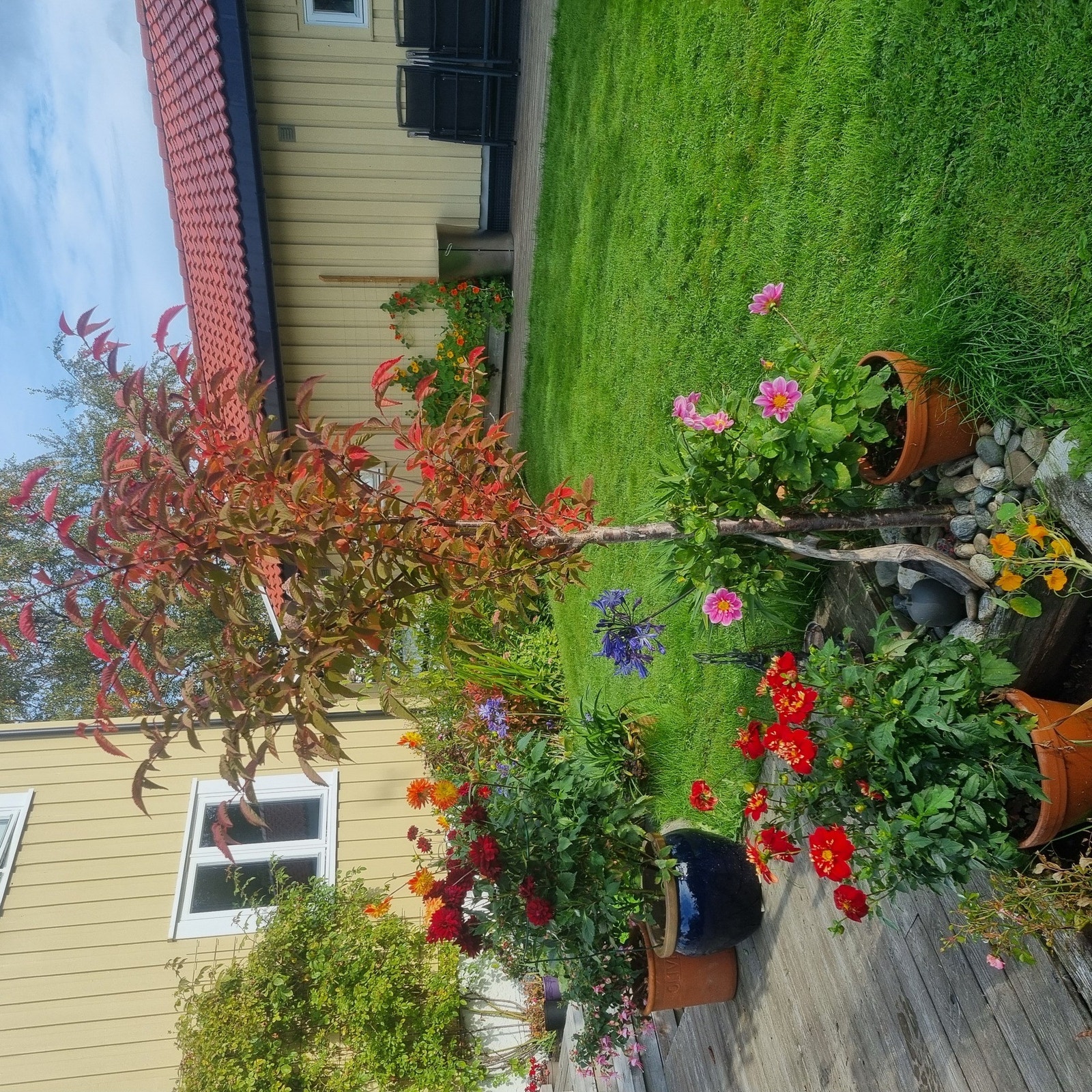 Selgers bilde. Galleribilde