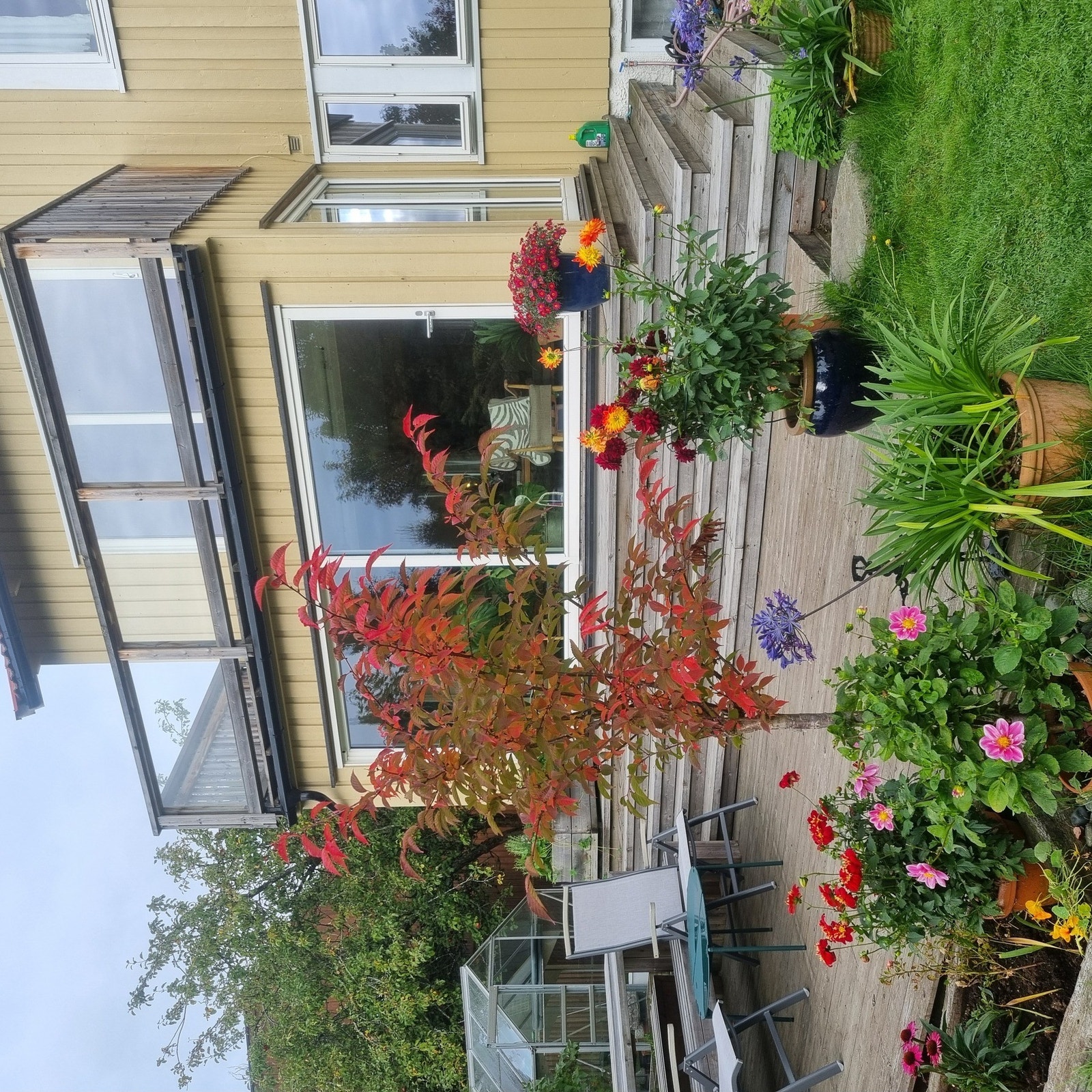 Selgers bilde. Galleribilde