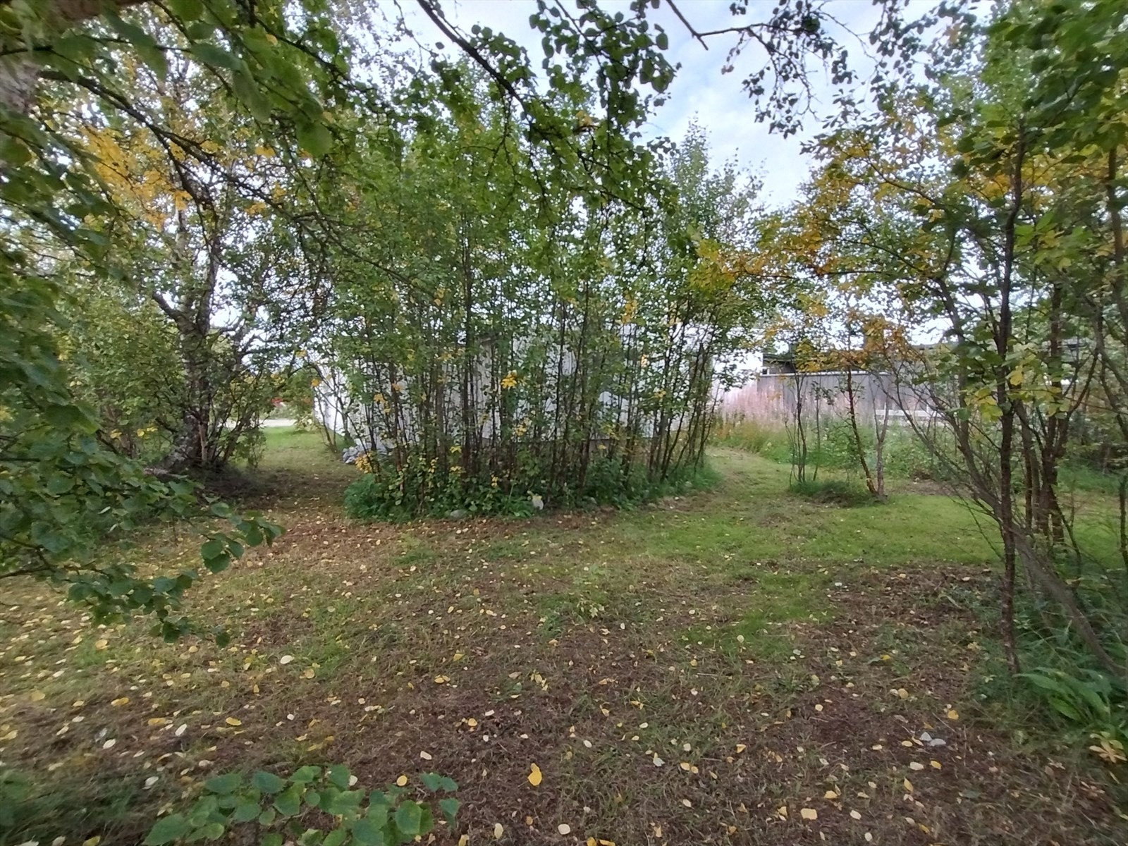 IMG_20250906_155926068_HDR.jpg Galleribilde