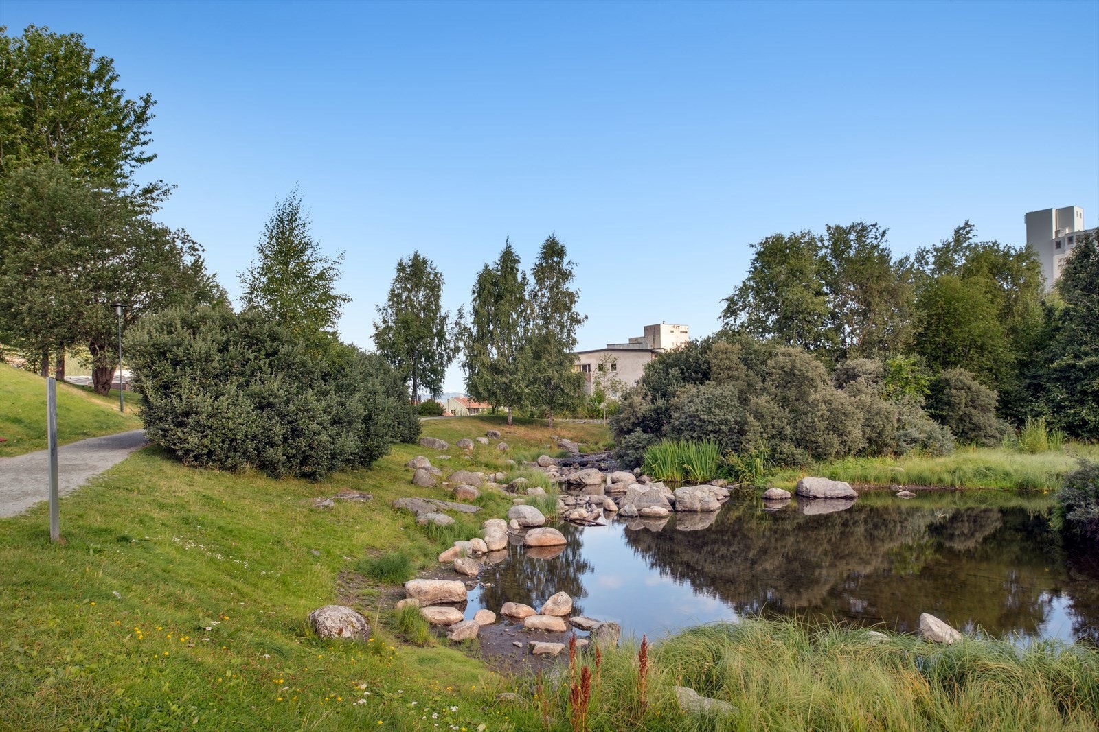 I nærområdet finner man også flotte parkområder, blant annet Ilaparken og Lille Skansen som er populære samlingspunkt for grilling og aktiviteter på sommerstid. Galleribilde