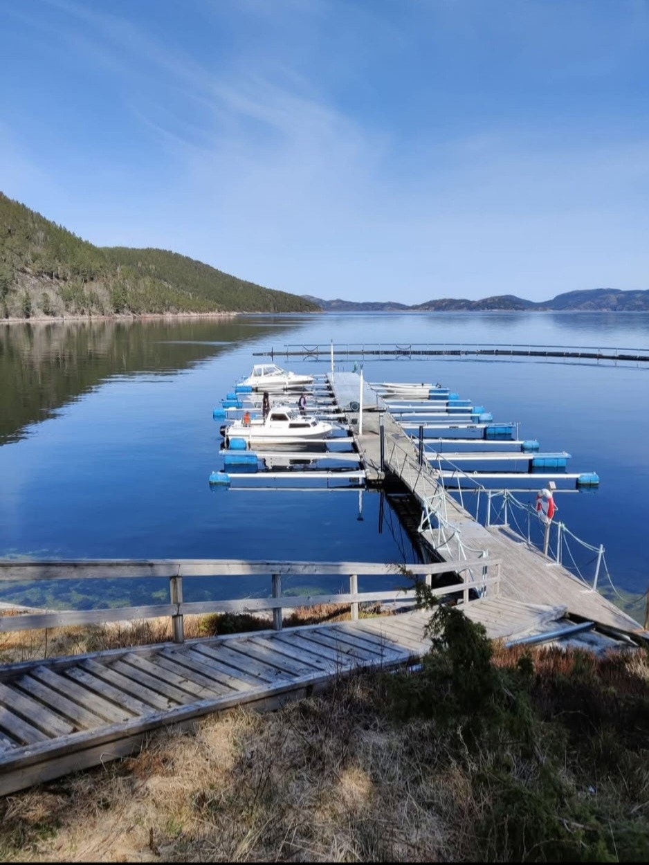 Båtforeningen er et naturlig knutepunkt for fisketurer, fine morgenstunder og late sommerdager ved sjøen. Galleribilde