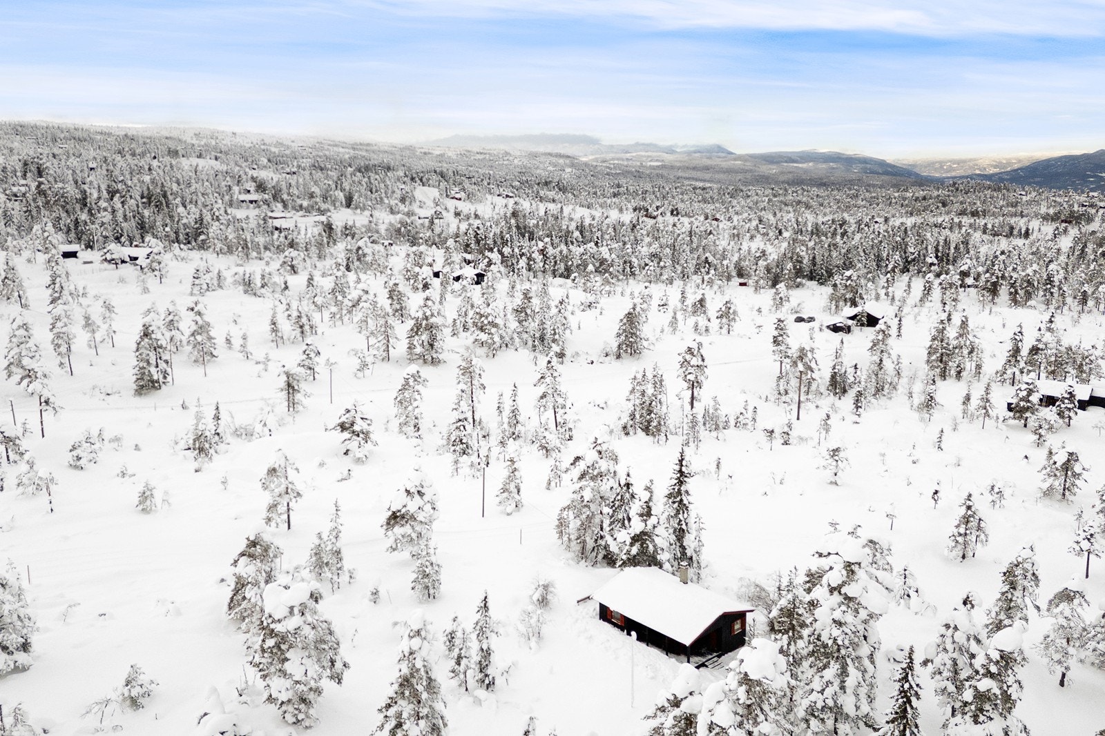 Om sommeren byr området på flotte turstier og fine naturopplevelser rett utenfor døren. Galleribilde