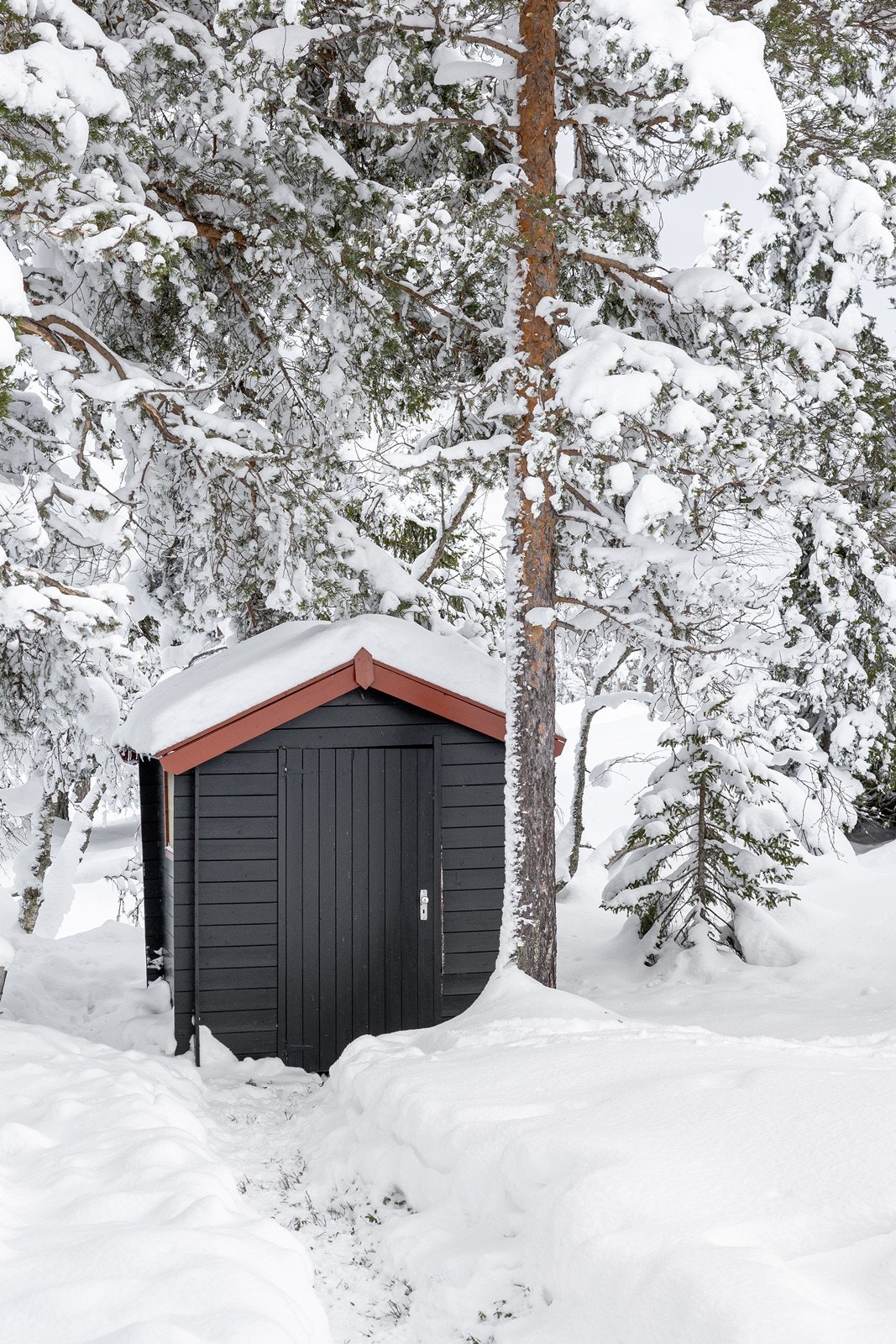 Utedo/bod. Galleribilde