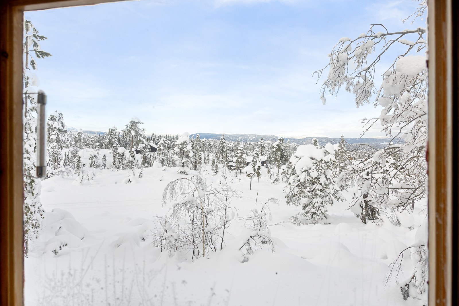 Utsiktsbilde fra stua. Galleribilde