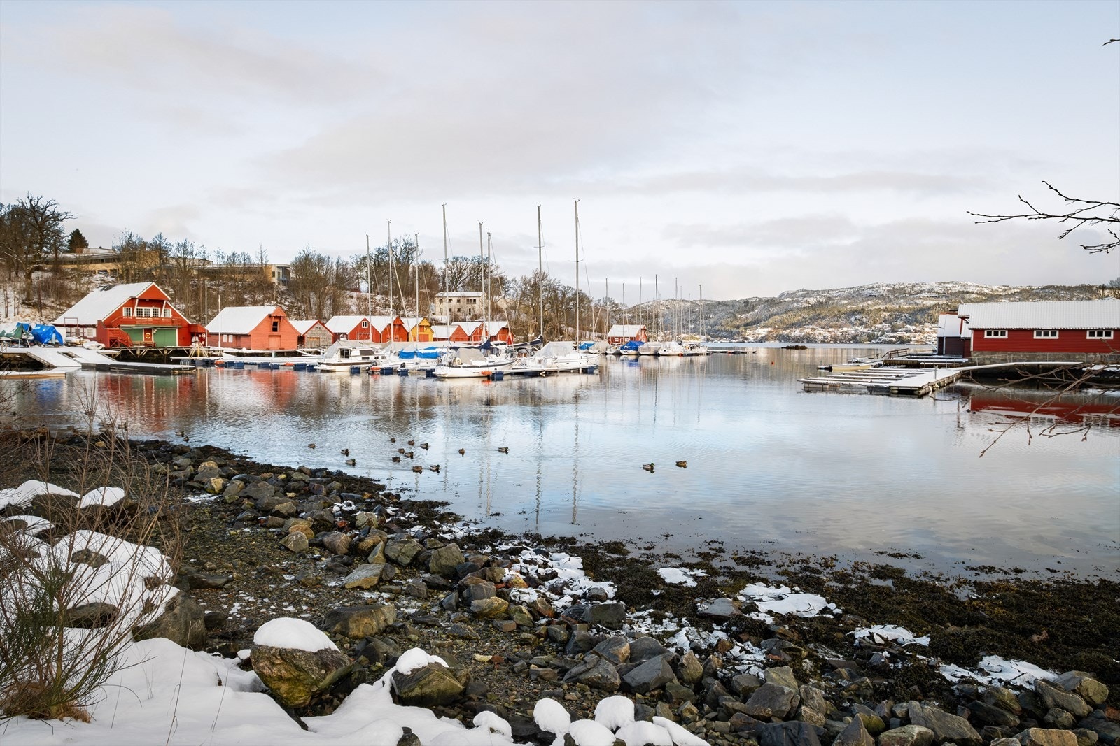 Trivelig nærområde med naust og marina Galleribilde