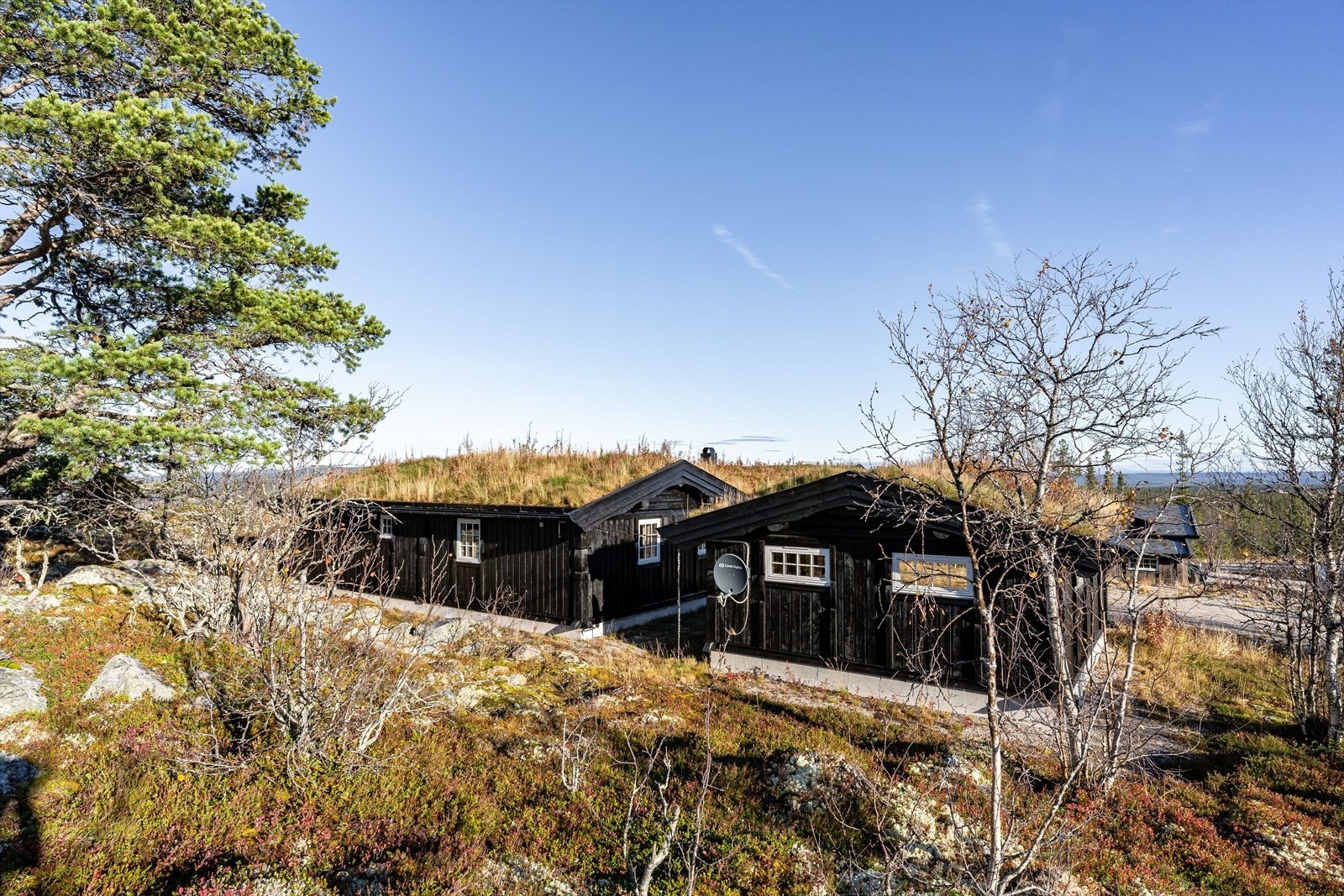 Skiløypene som starter like ved hytta og går gjennom hyttefeltet sørover eller rundt Magnhildbrennskarven. Løypene kan følges opp på snaufjellet eller i skogen. Galleribilde