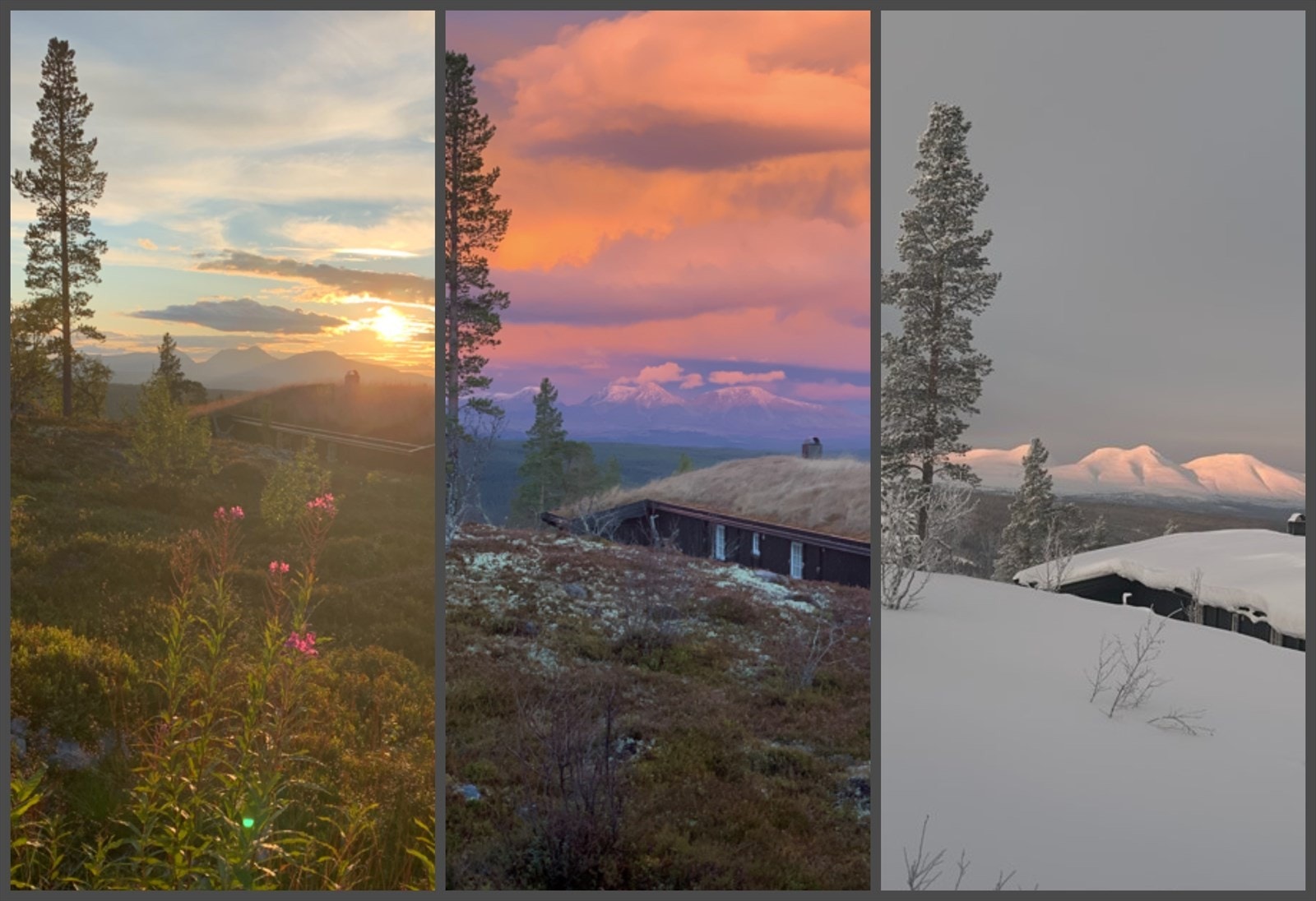 Utsikt mot Sølenfjellet sommer, høst og vinter. Foto privat. Galleribilde