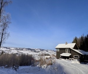 Utsikten en vinterdag i februar (selgers bilde) Galleribilde