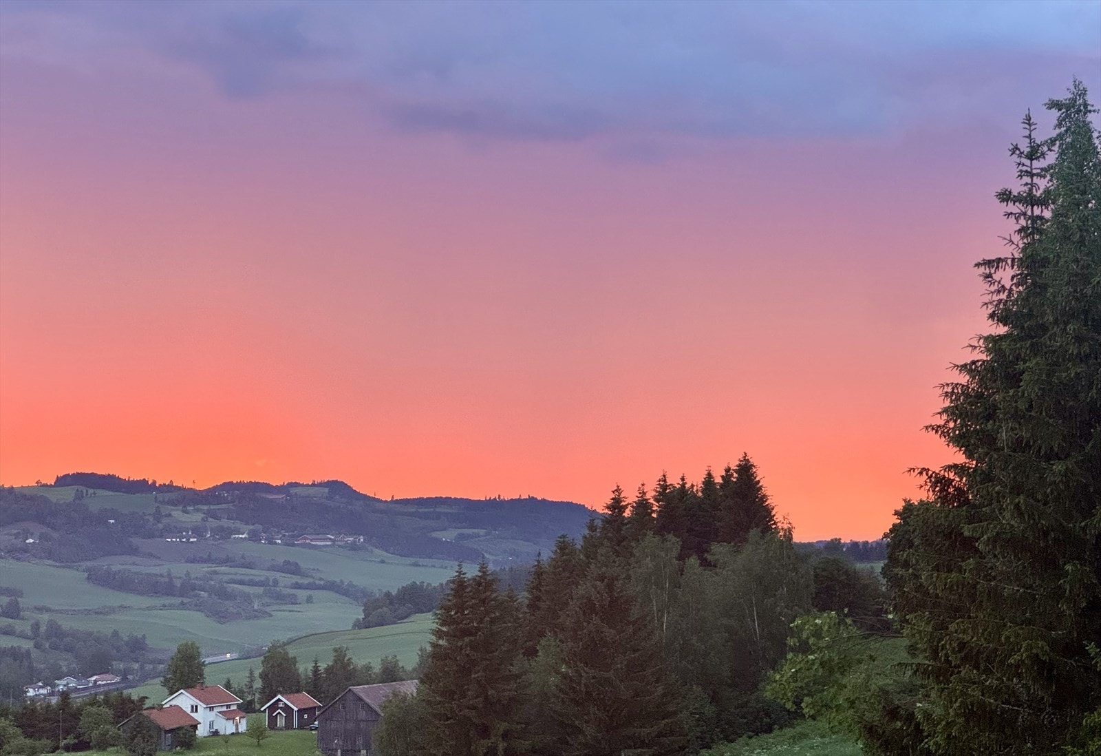 Selgers bilde Galleribilde