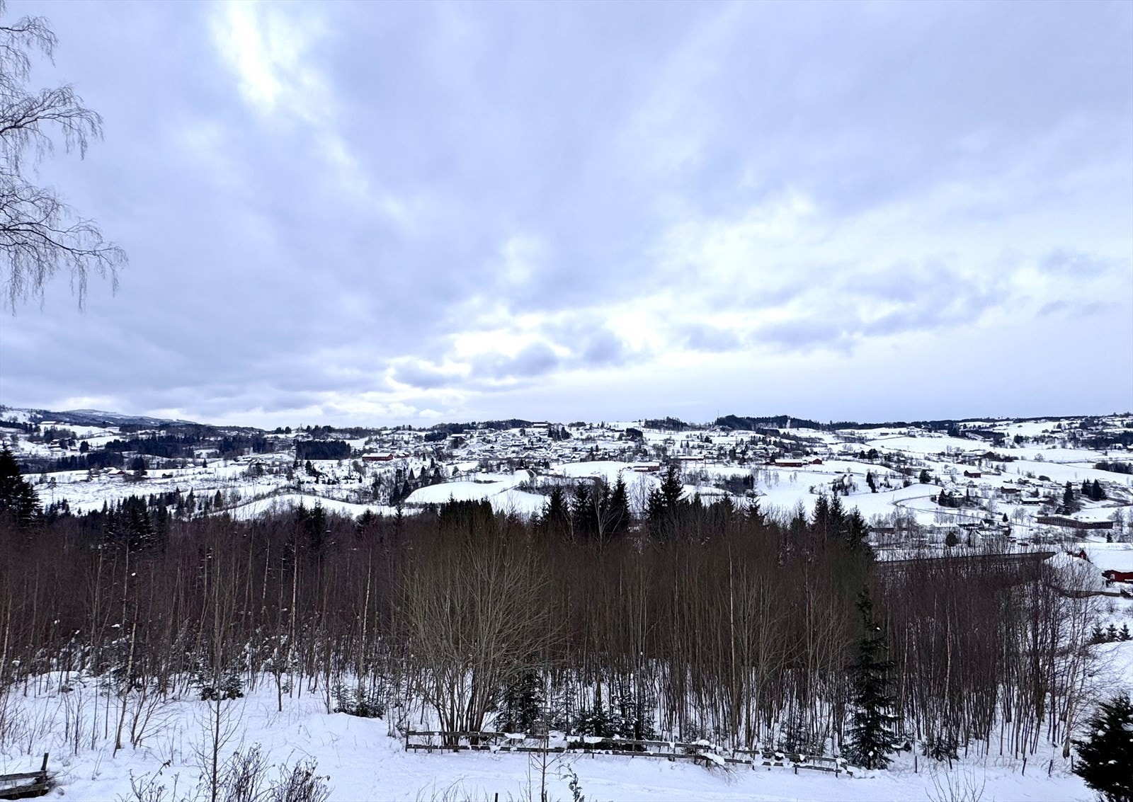 Eiendommen har fantastisk utsikt! (selgers bilde) Galleribilde