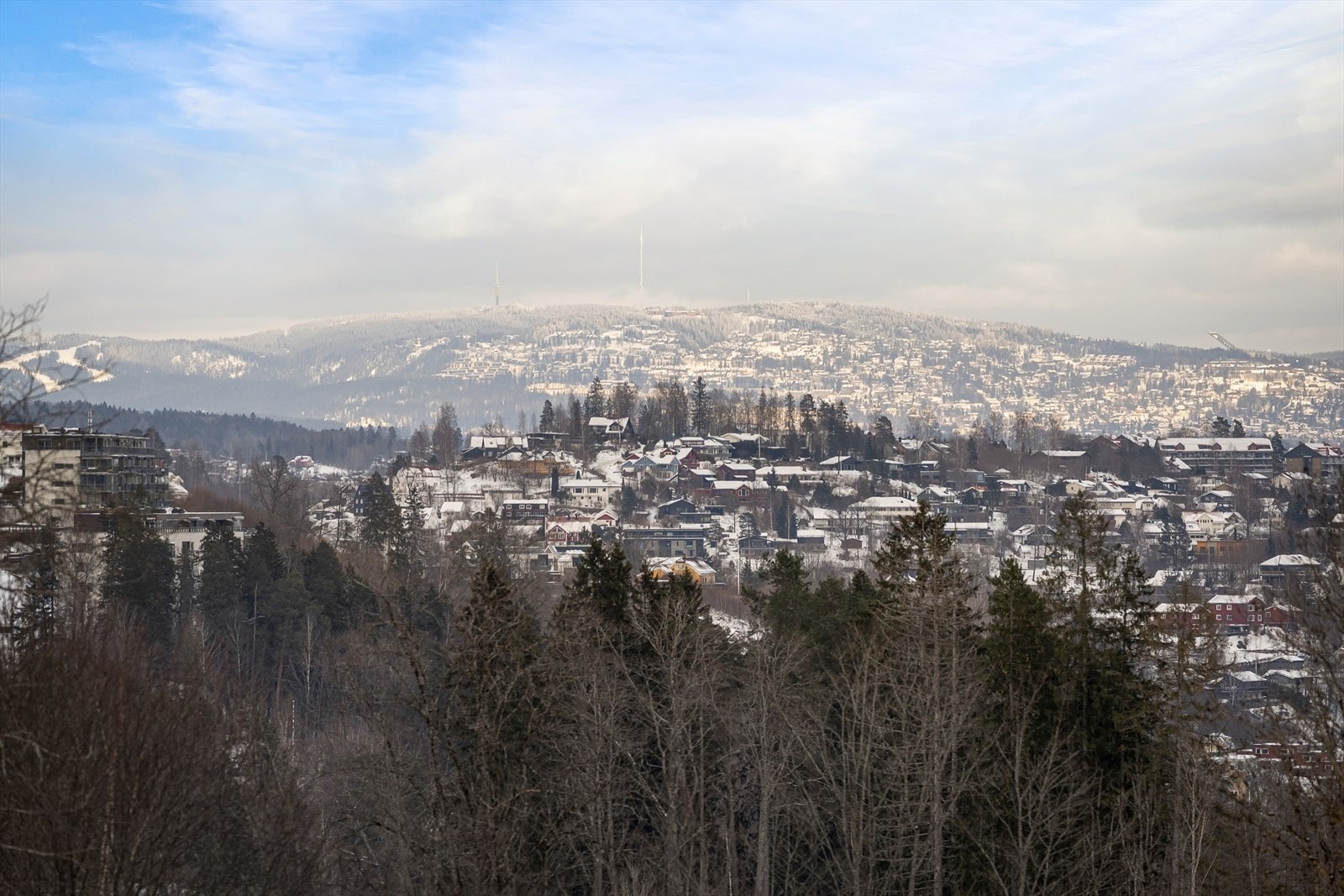 Flott utsikt. Galleribilde