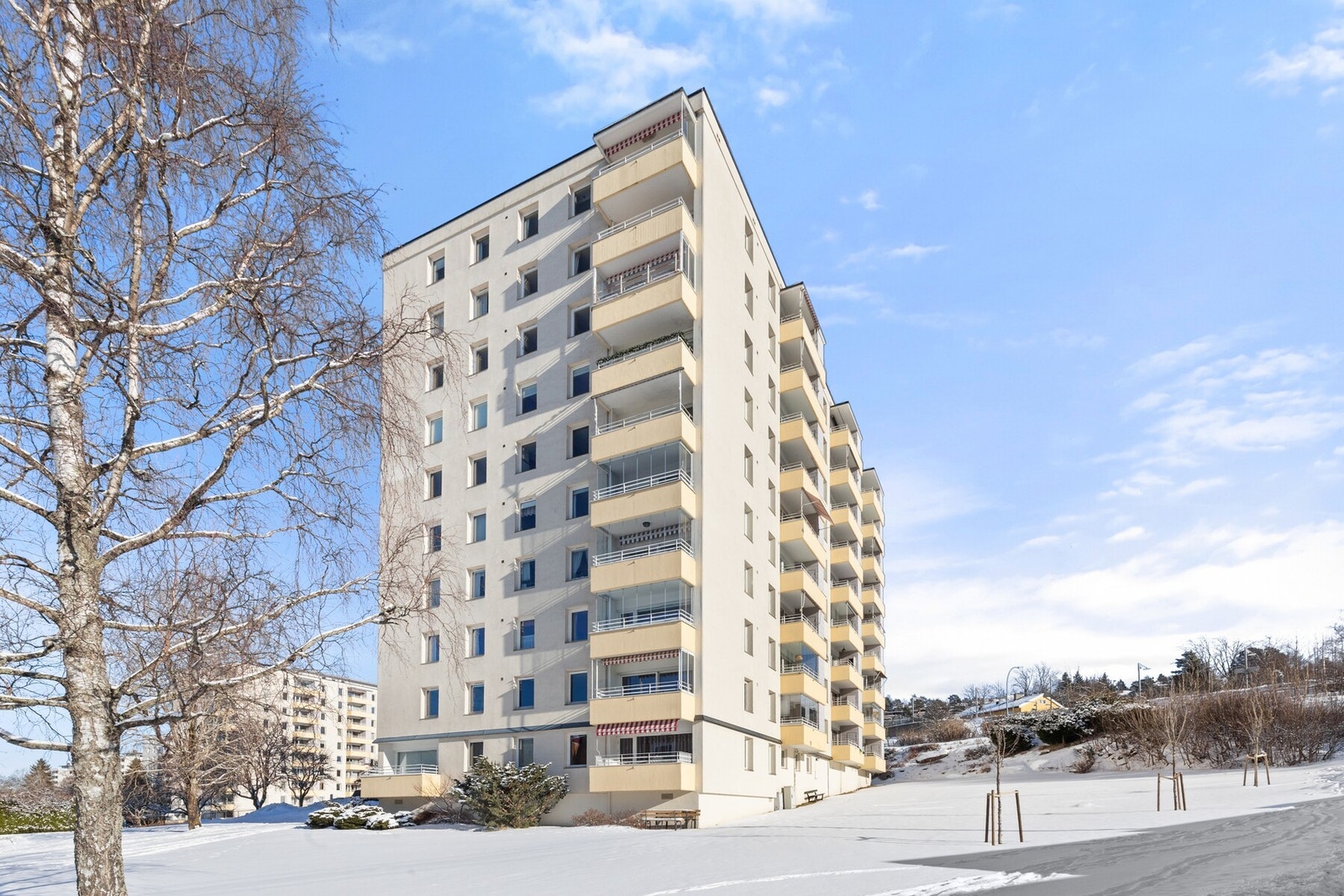 Fasade. Galleribilde