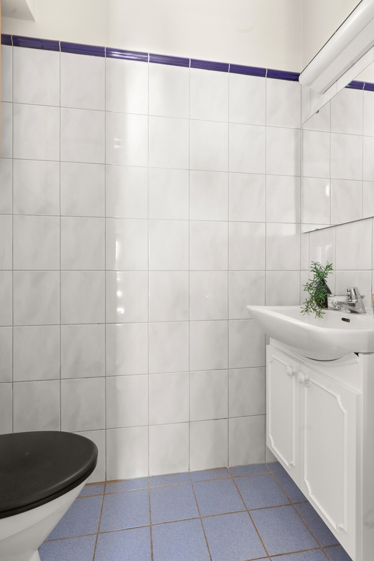 Separat toalett. Galleribilde