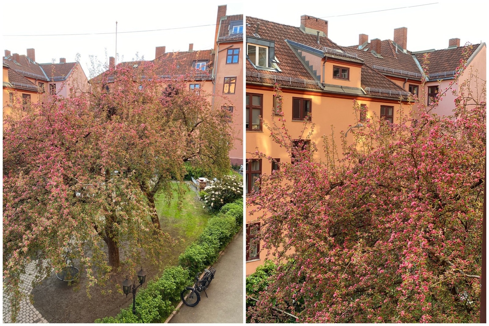 På kjøkkenet er det stor vindusflate (fra 2010) som slipper inn mye naturlig lys og gir hyggelig utsyn over den fine og frodige bakgården. Galleribilde