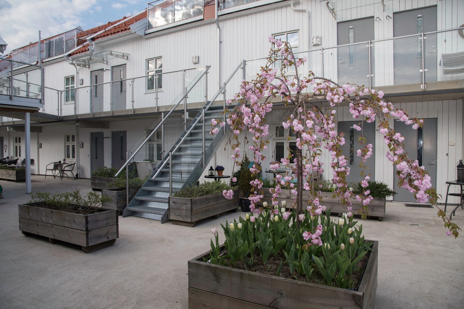 Bakgård Galleribilde