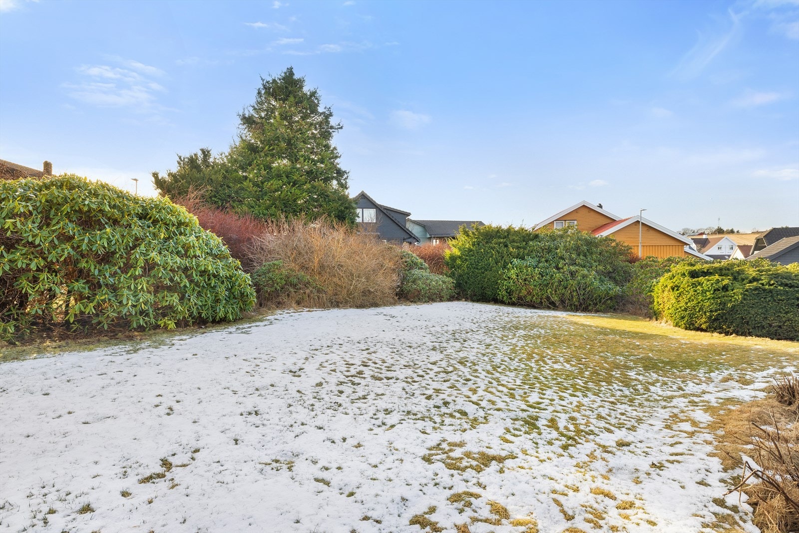 Stor hage med blomstrende busker og vintergrønt Galleribilde
