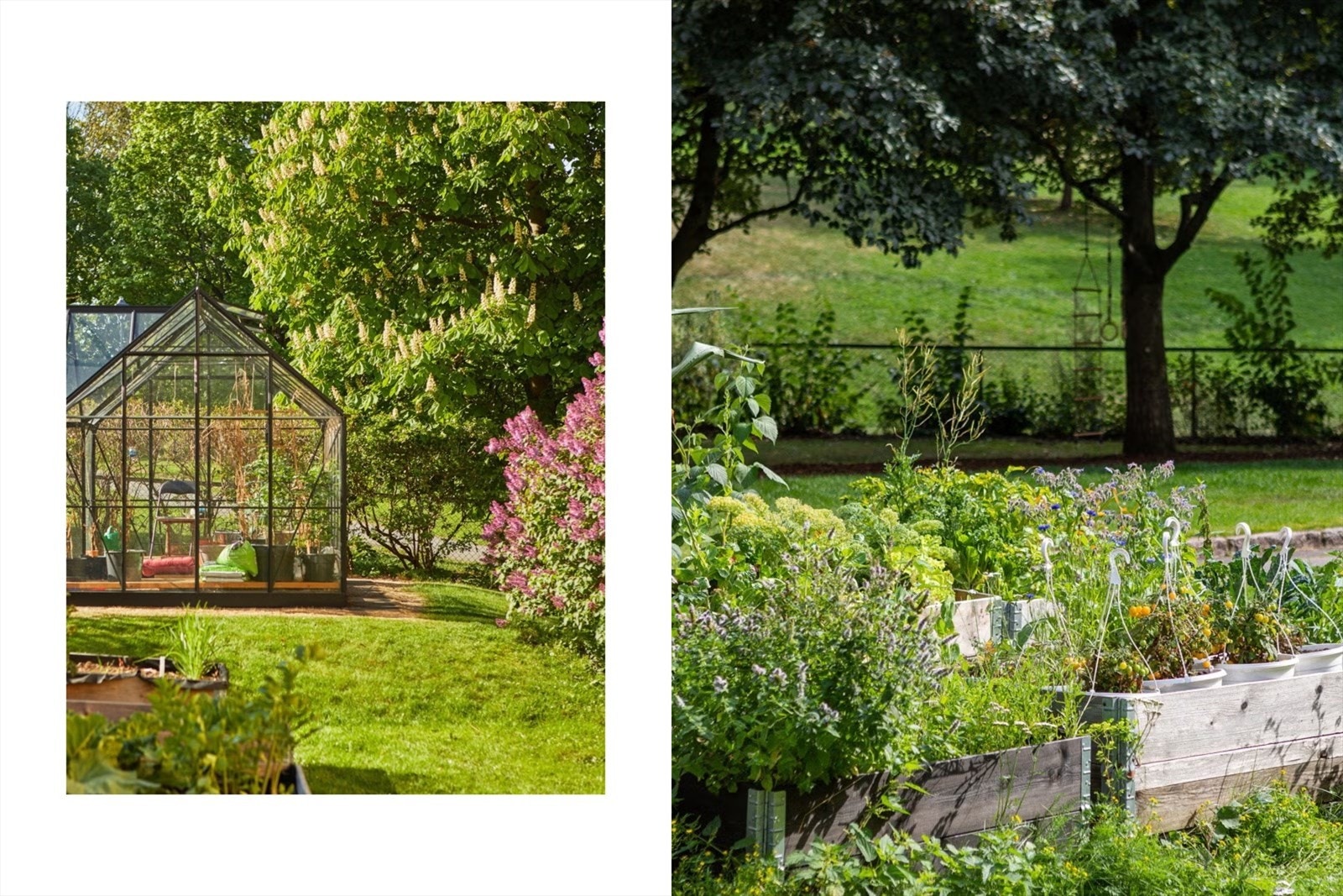 Aksjelaget byr også på flere fellesfasiliteter som faktisk blir brukt: drivhus og mulighet for egen plantekasse, fellesvaskeri, aktivitetsrom med bordtennis, et enkelt hjemmekontor, samt felles garasje/verksted for små og store prosjekter. Galleribilde